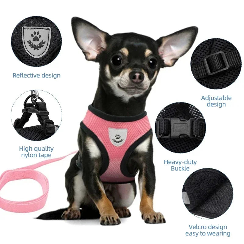Pettorina per gatti Guinzaglio da passeggio per cuccioli Collare per cani Pettorina per cani in rete regolabile in poliestere per accessori per animali di piccola taglia e media
