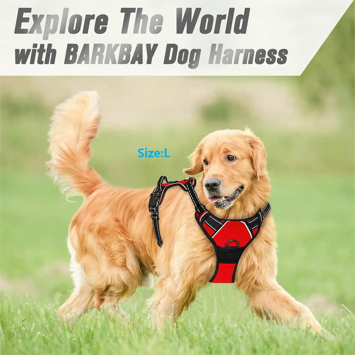 Pettorina per cani senza tirare, clip frontale, resistente, riflettente, facile da controllare, per passeggiate di cani di taglia grande
