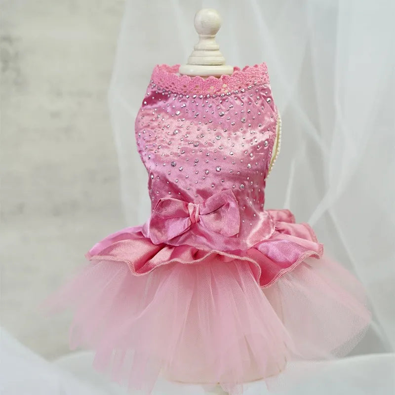 Abito estivo per cani gonna in pizzo per gatti abbigliamento per animali Chihuahua gonna in Tulle cucciolo gatto abbigliamento per principessa vestiti per cuccioli carini accessori per cani