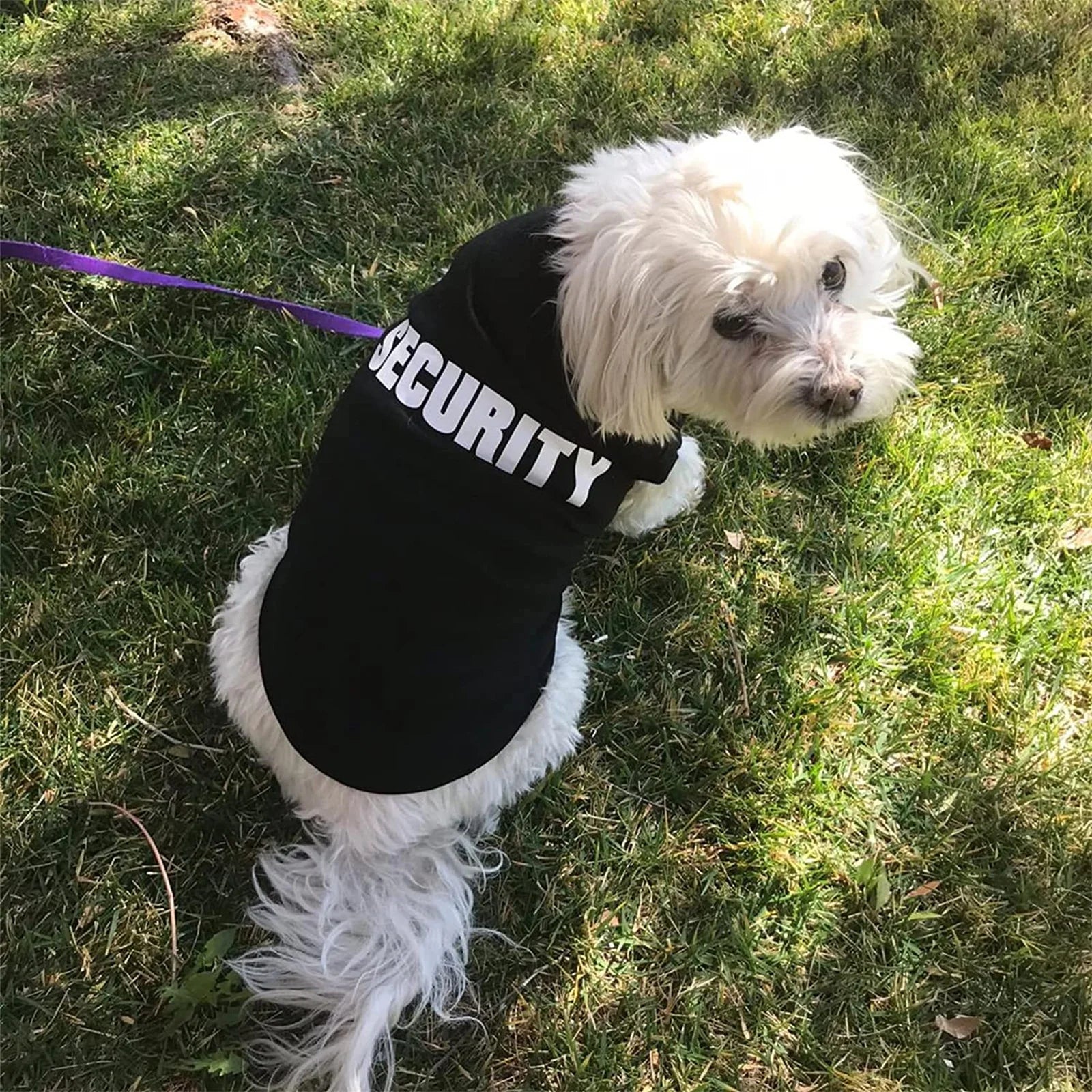 Abbigliamento di sicurezza per cani Vestiti estivi per animali domestici Gilet per cani di piccola taglia Chihuahua Yorkshire Cuccioli Gatti T-shirt per animali domestici a basso prezzo