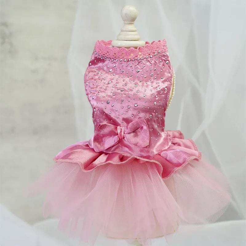 Abito estivo per cani gonna in pizzo per gatti abbigliamento per animali Chihuahua gonna in Tulle cucciolo gatto abbigliamento per principessa vestiti per cuccioli carini accessori per cani