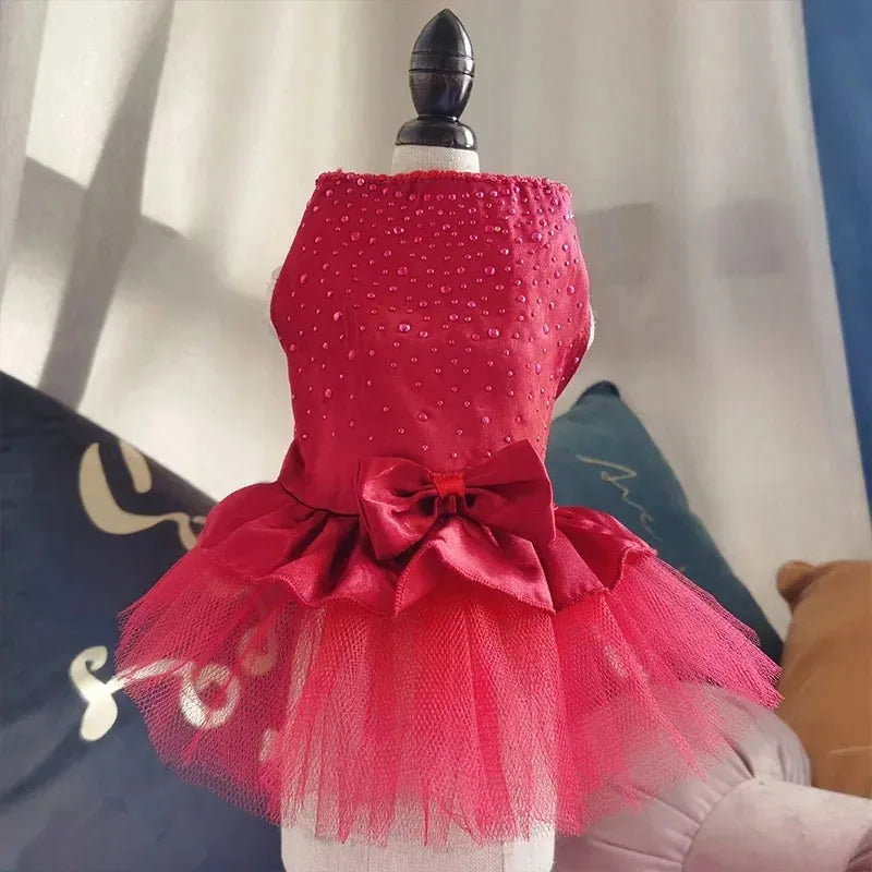 Abito estivo per cani gonna in pizzo per gatti abbigliamento per animali Chihuahua gonna in Tulle cucciolo gatto abbigliamento per principessa vestiti per cuccioli carini accessori per cani
