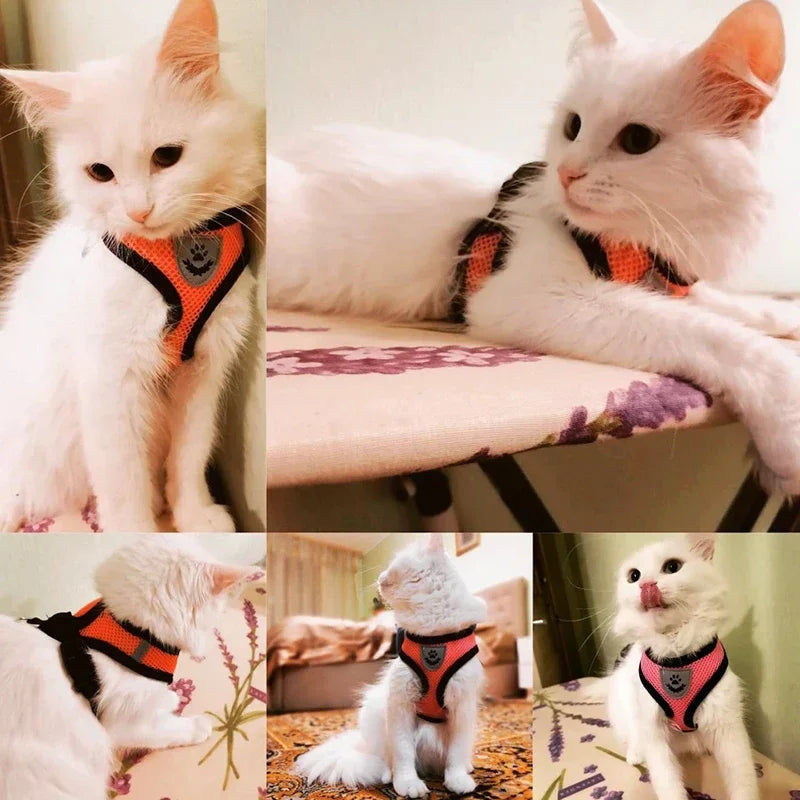 Pettorina per gatti Guinzaglio da passeggio per cuccioli Collare per cani Pettorina per cani in rete regolabile in poliestere per accessori per animali di piccola taglia e media