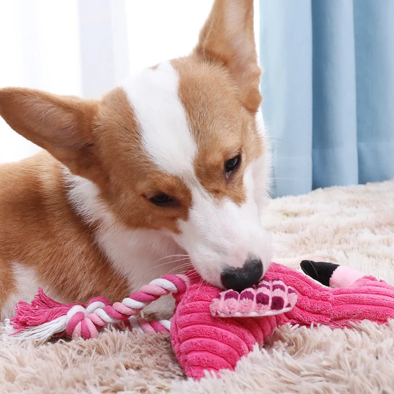 Giocattoli striduli a forma di animale Giocattolo per cani di peluche Simpatico giocattoli per cani in velluto a coste resistenti ai morsi per cani di piccola taglia Accessori per cani da compagnia