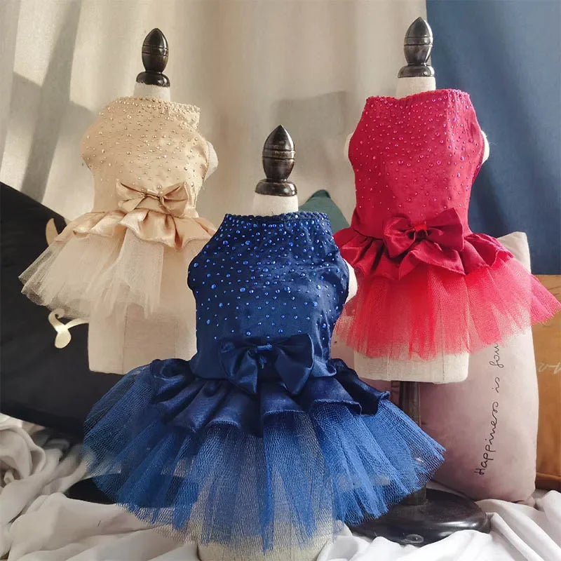 Abito estivo per cani gonna in pizzo per gatti abbigliamento per animali Chihuahua gonna in Tulle cucciolo gatto abbigliamento per principessa vestiti per cuccioli carini accessori per cani