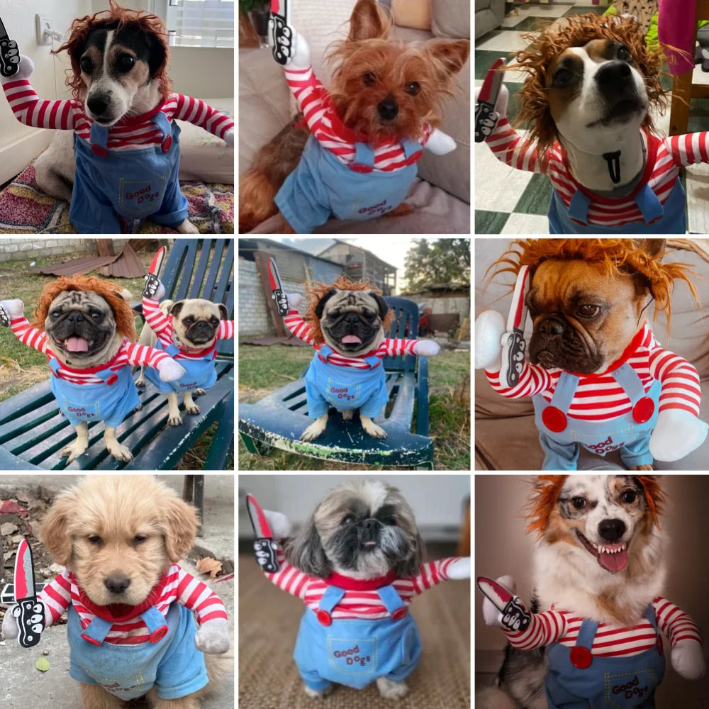Vestiti per cani divertenti di Halloween Cani di taglia piccola, media e grande Gatto Cosplay Animali domestici Dress Up Pullover per cuccioli Chihuahua Costume Party Abiti per animali domestici