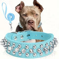 Set collare e guinzaglio per cani a spillo, collare per cani regolabile in pelle con rivetti per passeggiate all'aperto