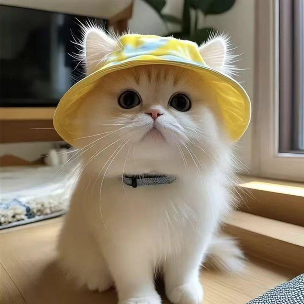 Cappello Estivo per Gatti con Fori per le Orecchie - Simpatico Cappello da Pescatore per Gattini, Protezione UV, Traspirante, Cappello Parasole per Esterni per Gatti