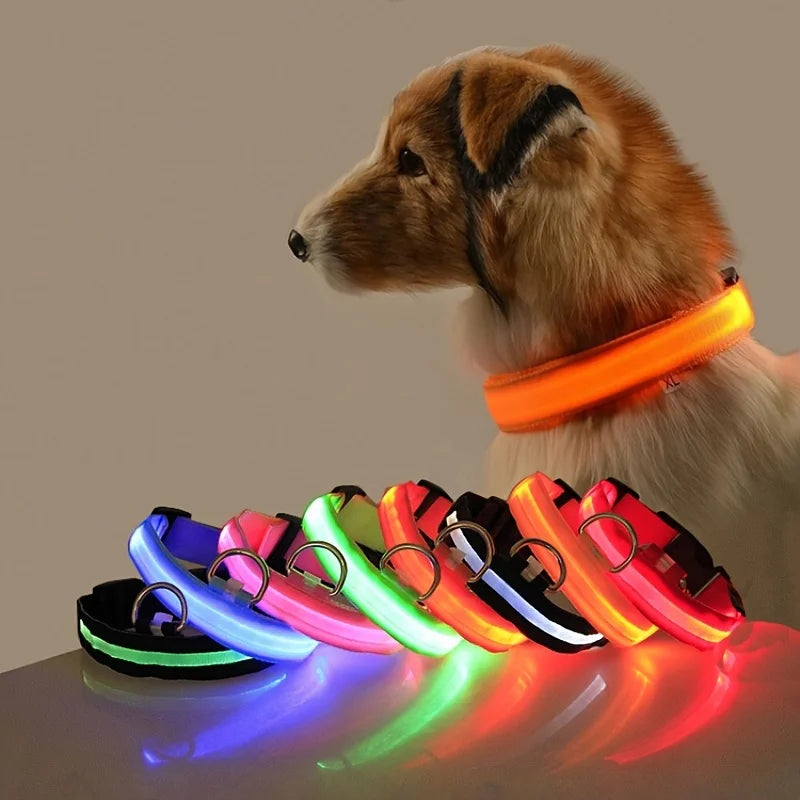 Guinzaglio per cani in nylon LED di sicurezza notturna lampeggiante che si illumina al buio Collare per cani da compagnia fluorescente luminoso