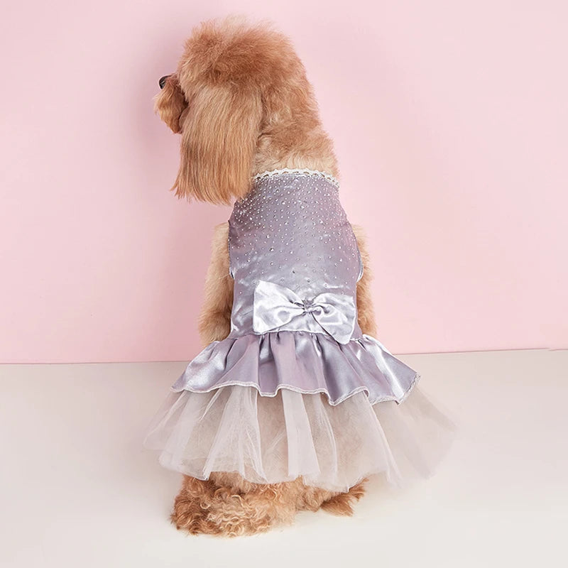 Abito estivo per cani gonna in pizzo per gatti abbigliamento per animali Chihuahua gonna in Tulle cucciolo gatto abbigliamento per principessa vestiti per cuccioli carini accessori per cani