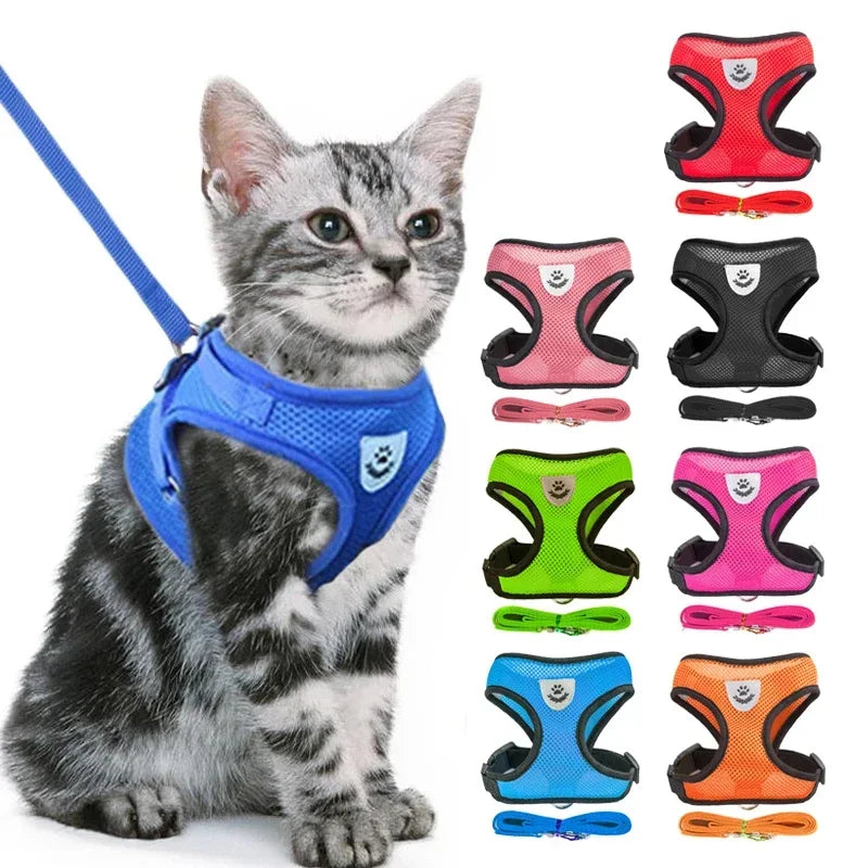 Pettorina per gatti Guinzaglio da passeggio per cuccioli Collare per cani Pettorina per cani in rete regolabile in poliestere per accessori per animali di piccola taglia e media