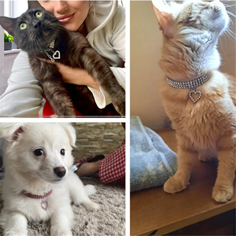 Nuovo collare per cani e gatti Collari per animali domestici con strass elastici a tre file Collana con decorazione d'amore Ornamento per cuccioli di gattino Forniture per animali domestici