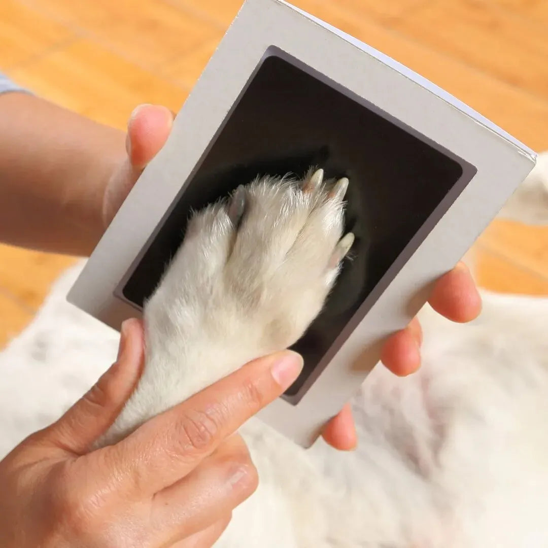 Tampone di inchiostro touch pulito con stampa di zampe, ricordo del proprietario di animali domestici per cani o gatti, kit per la creazione di impronte di naso e impronte di zampa senza inchiostro fai-da-te