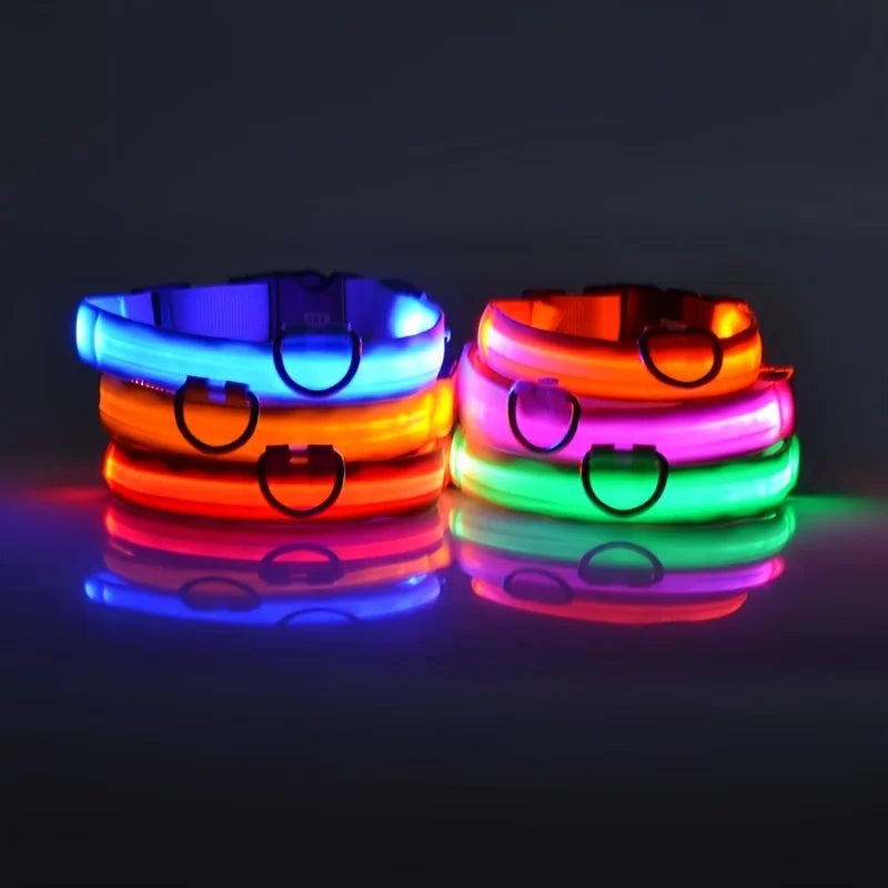 Guinzaglio per cani in nylon LED di sicurezza notturna lampeggiante che si illumina al buio Collare per cani da compagnia fluorescente luminoso