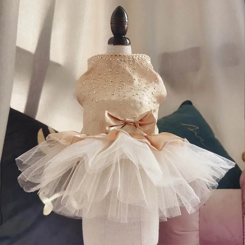 Abito estivo per cani gonna in pizzo per gatti abbigliamento per animali Chihuahua gonna in Tulle cucciolo gatto abbigliamento per principessa vestiti per cuccioli carini accessori per cani