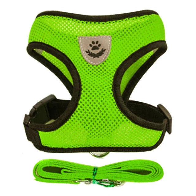 Pettorina per gatti Guinzaglio da passeggio per cuccioli Collare per cani Pettorina per cani in rete regolabile in poliestere per accessori per animali di piccola taglia e media