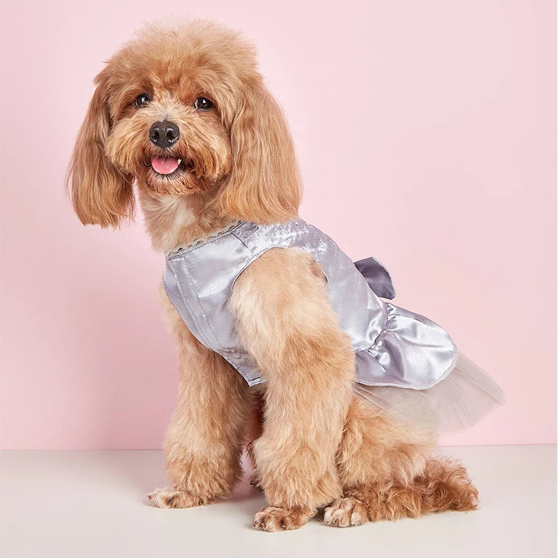 Abito estivo per cani gonna in pizzo per gatti abbigliamento per animali Chihuahua gonna in Tulle cucciolo gatto abbigliamento per principessa vestiti per cuccioli carini accessori per cani