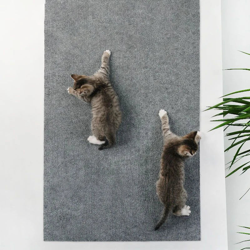 Tappetino antigraffio per gatti autoadesivo Tappeto per gatti rifilabile Tappeto antigraffio per gatti Parete angolare Gatto Protezione per mobili per divani antigraffio fai da te