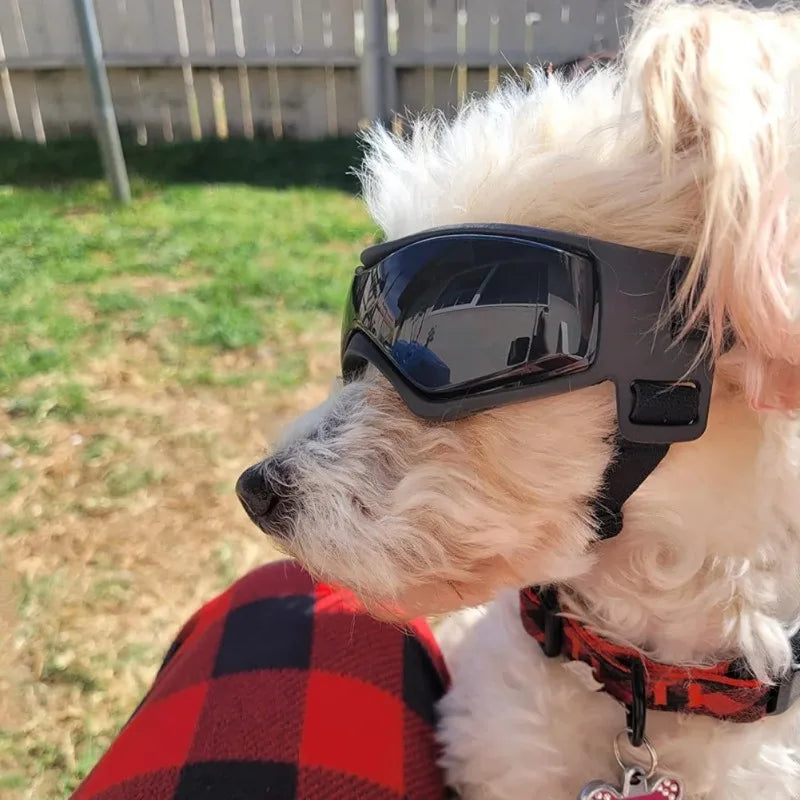 Accessori per Animali Domestici, Occhiali da Sole con Protezione UV per Cani, Occhiali per Gatti e Cani di Piccola e Media Taglia, Cinghie Regolabili