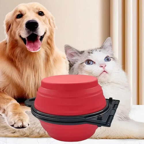 1 pezzo 2-in-1 pieghevole doppia ciotola ciotola di alimentazione portatile da viaggio all'aperto cane gatto ciotola per bere forniture per animali acqua di alimentazione all'aperto
