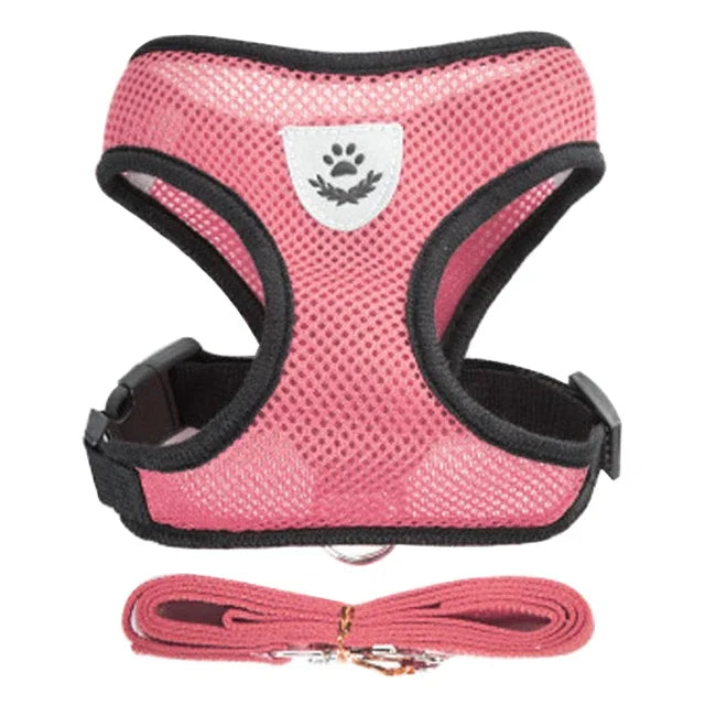 Pettorina per gatti Guinzaglio da passeggio per cuccioli Collare per cani Pettorina per cani in rete regolabile in poliestere per accessori per animali di piccola taglia e media