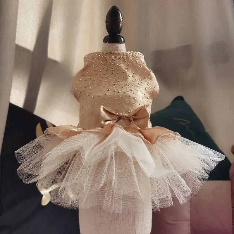 Abito estivo per cani gonna in pizzo per gatti abbigliamento per animali Chihuahua gonna in Tulle cucciolo gatto abbigliamento per principessa vestiti per cuccioli carini accessori per cani