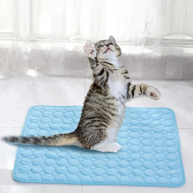 Tappetini per il ghiaccio per animali domestici Divano estivo per cani e gatti Nido Letto Tappetino per dormire rinfrescante per cani di piccola taglia Coperta resistente per divano rinfrescante per animali domestici