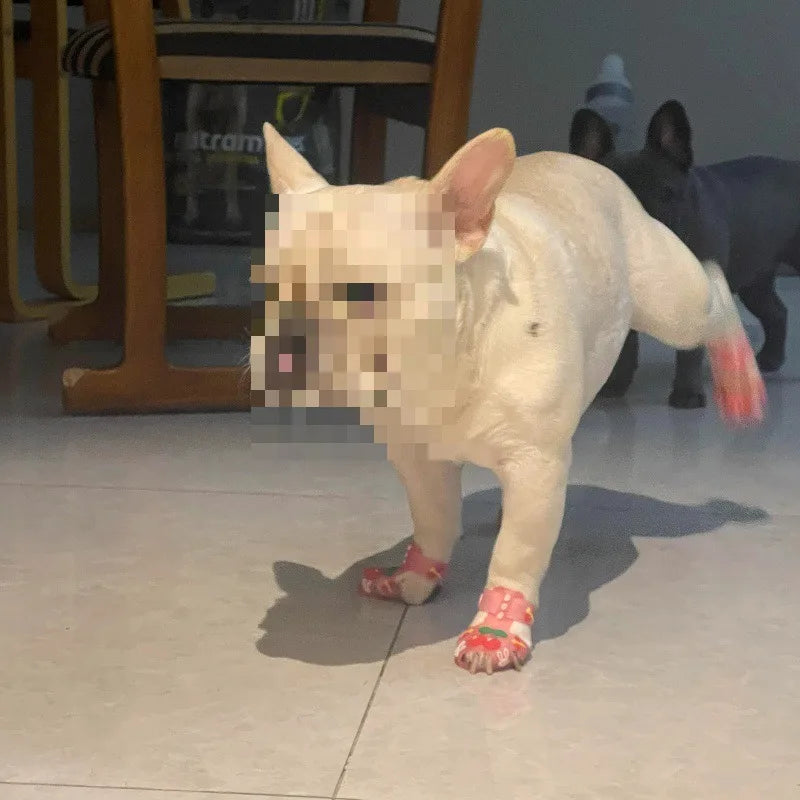 Sandali estivi per cani Cartoon Stivali da pioggia traspiranti antiscivolo alla moda Prodotto per animali domestici resistente all'usura impermeabile Accessori per esterni