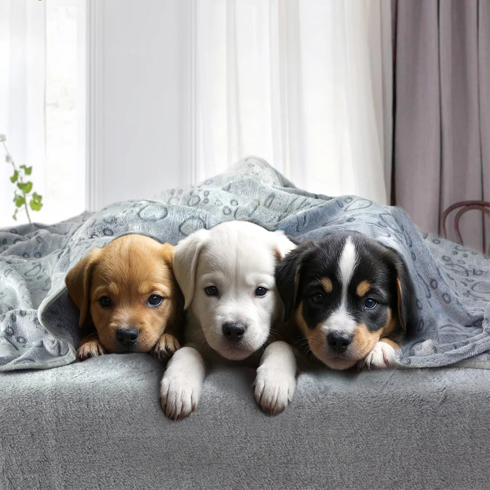 1 pezzo di coperte per cani ultra morbide con stampa di zampe - lavabili in lavatrice, comode cuscini per animali domestici per uso interno ed esterno - Ideale per piccole a La